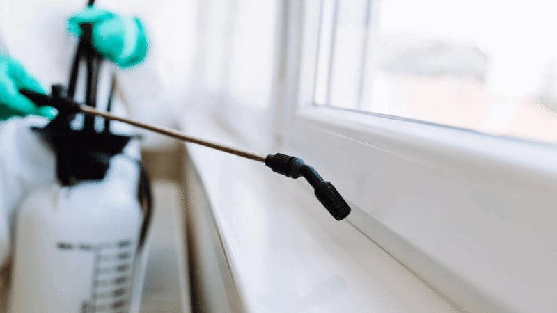 Pest Control Townsville