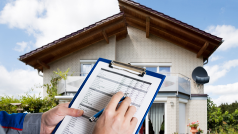 building and pest inspection townsville